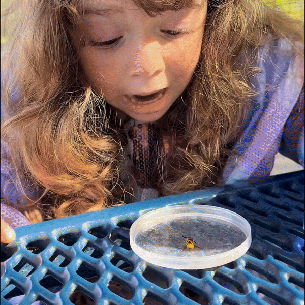 Child using Little Scientist's Ultimate Tool. The mini microscope for kids