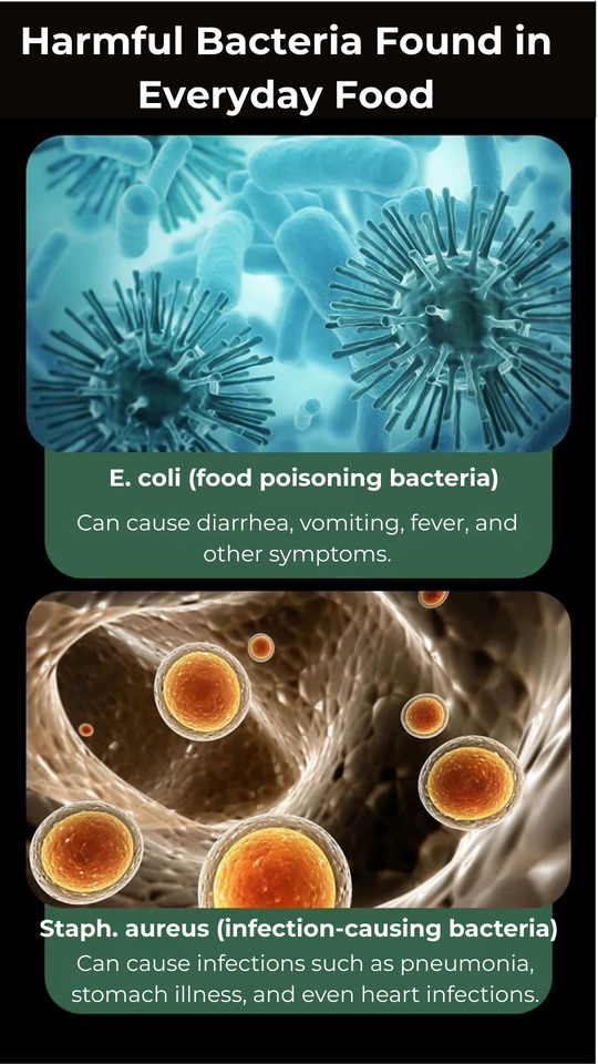 Illustration of harmful bacteria E. coli and Staph. aureus with text on food poisoning and infections.